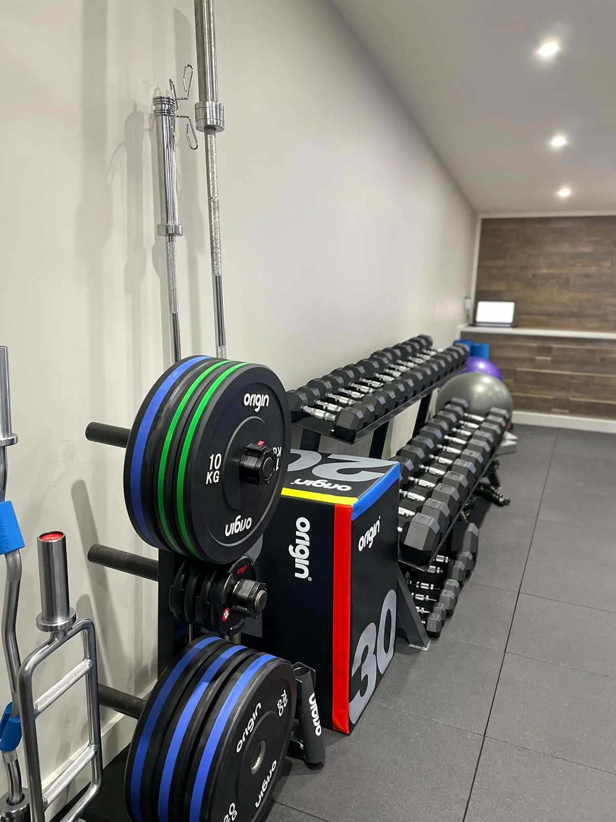 Dumbbells and weight plates ready for a personal training session