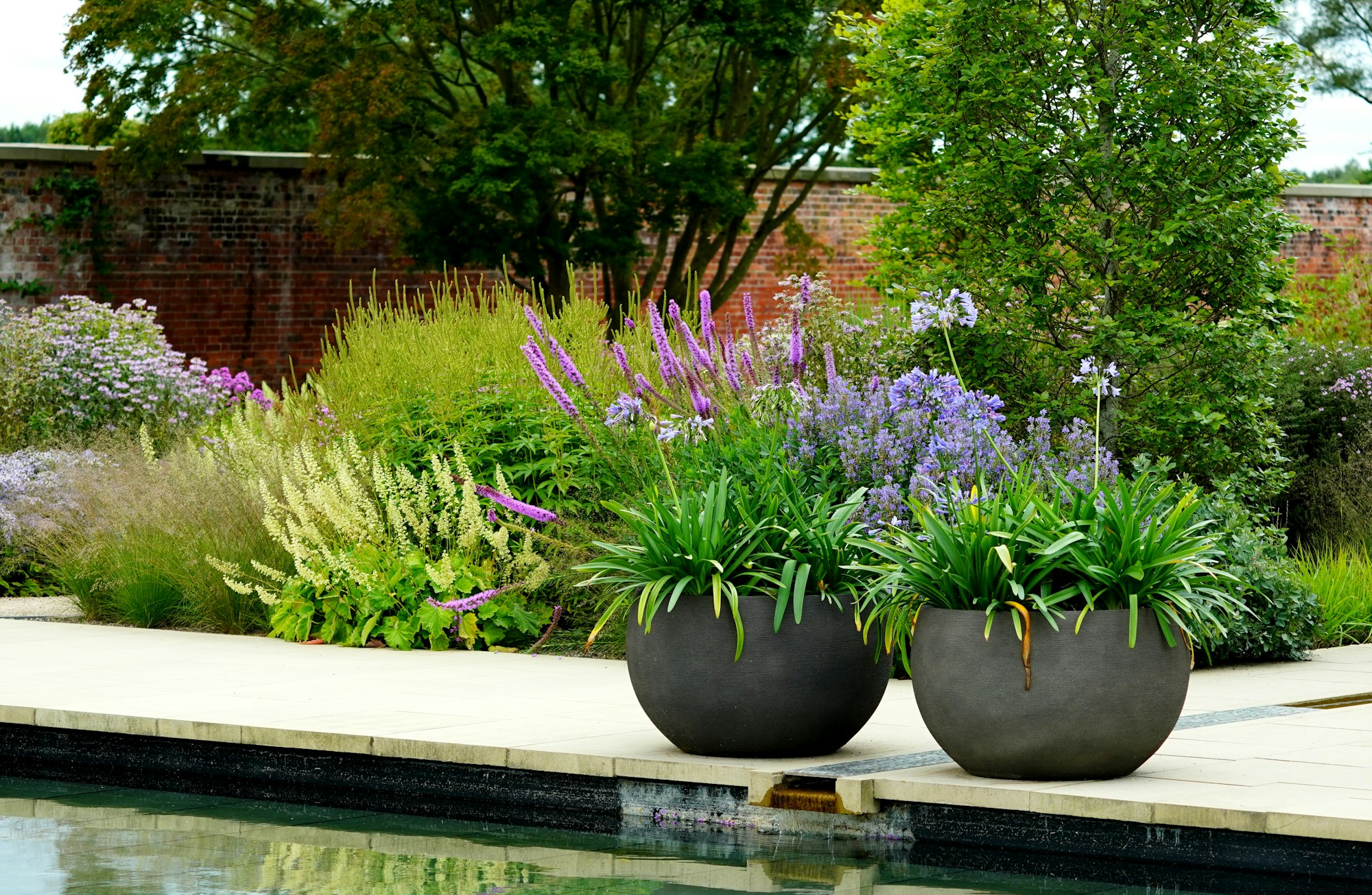 Two charcoal bowl planters of agapanthus on a stone terrace by a reflecting pool, backed by layered perennial planting and a walled garden
