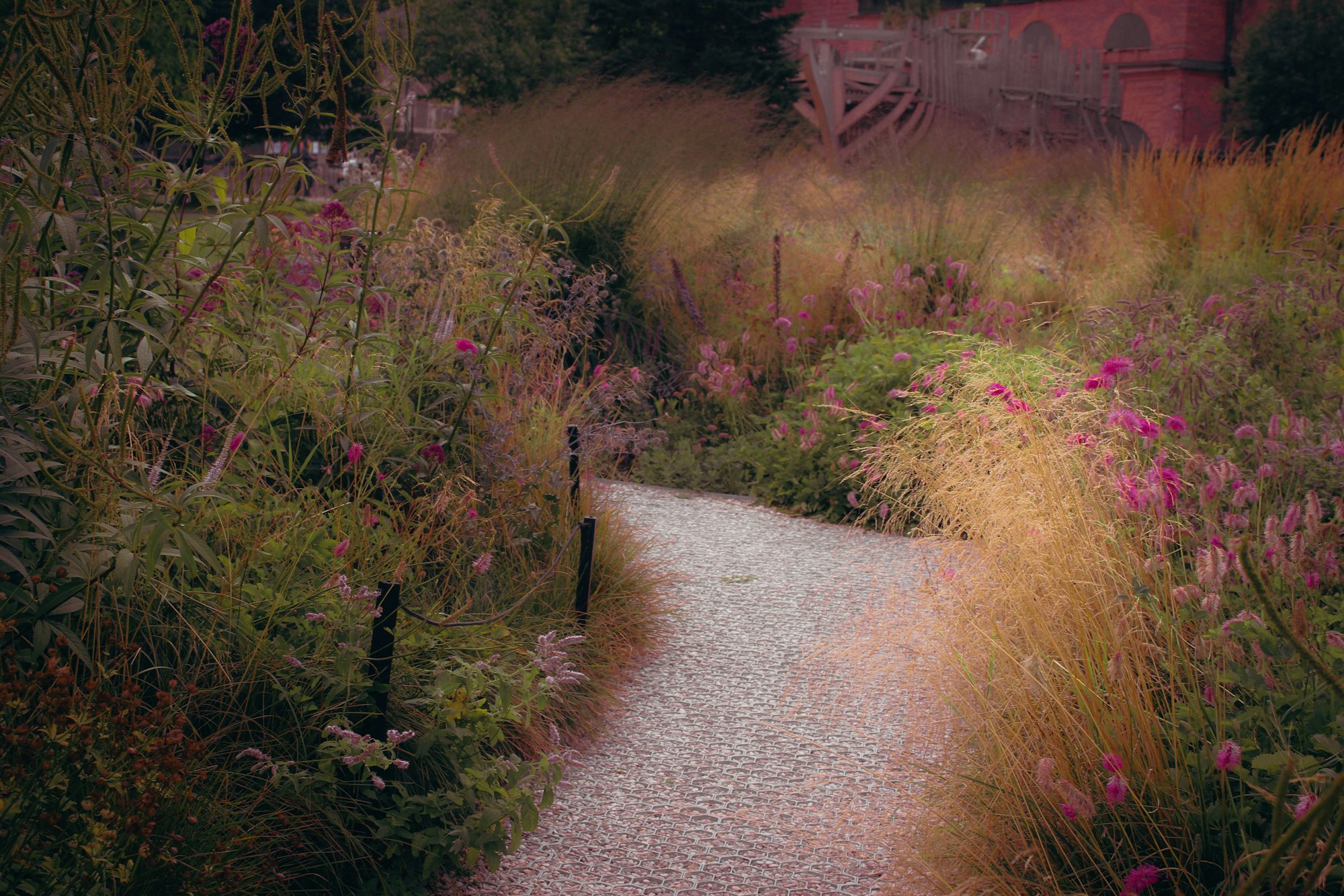 A gravel path curving through naturalistic planting of ornamental grasses and pink perennials