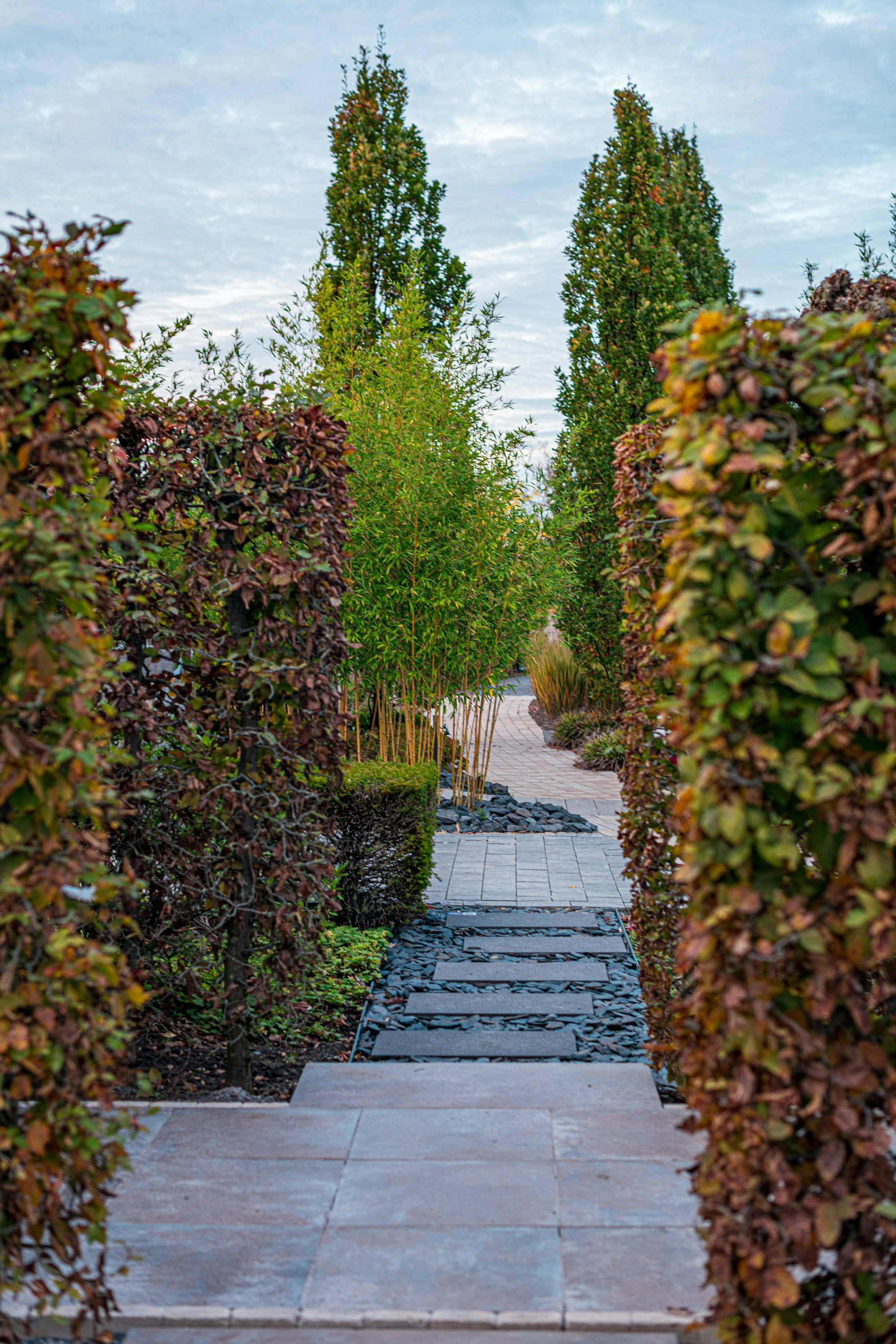 A paved garden path with slate stepping stones between clipped beech hedges and columnar trees